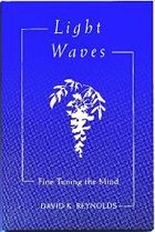 Light Waves/Fine Tuning the Mind